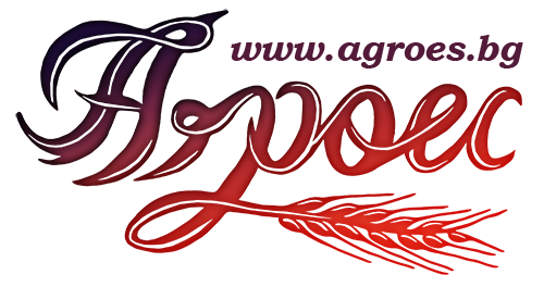 TYM, ������, ��������